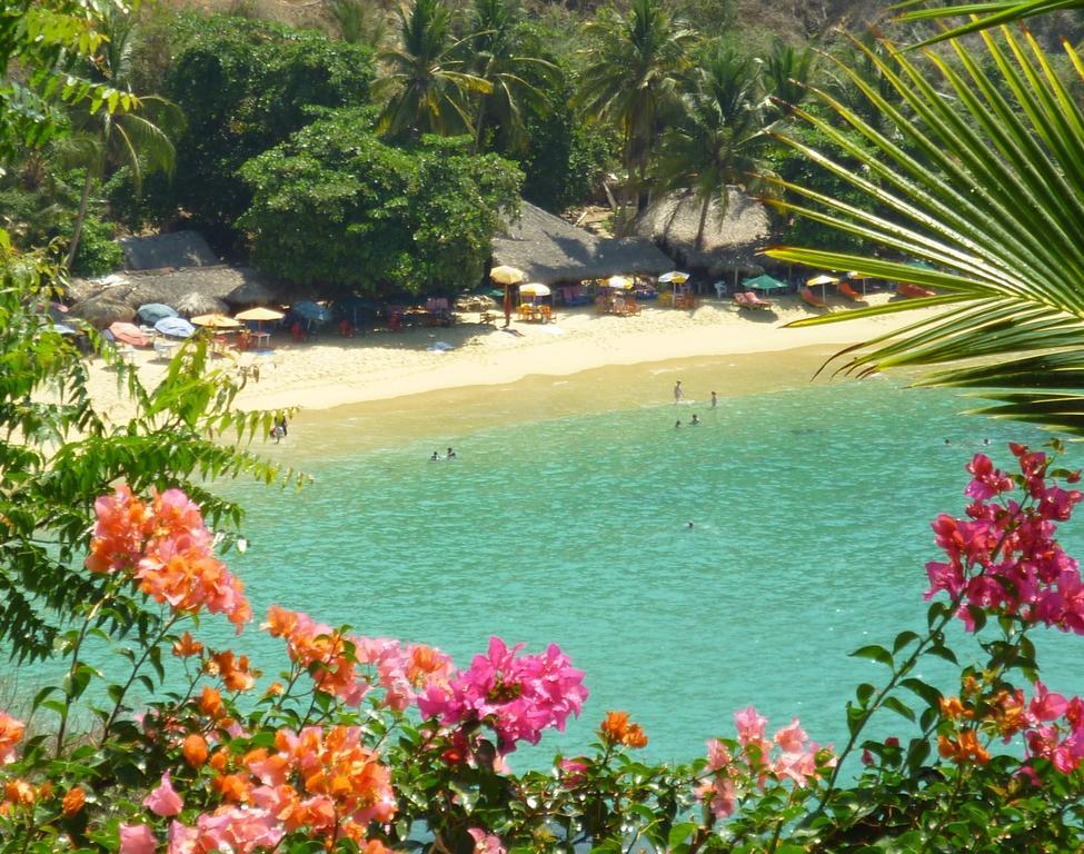 Las Turquezas Puerto Escondido  Eksteriør billede